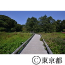神代植物公園