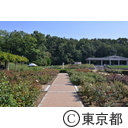 神代植物公園
