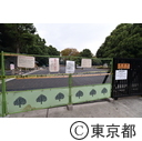 代々木公園デング熱による閉鎖解除