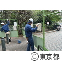 代々木公園デング熱による閉鎖解除