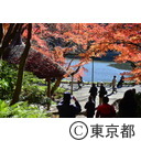 小石川後楽園の紅葉