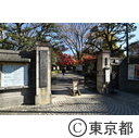 小石川後楽園の紅葉