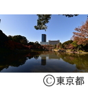 小石川後楽園の紅葉