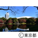 小石川後楽園の紅葉