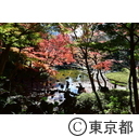 小石川後楽園の紅葉