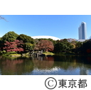 小石川後楽園の紅葉