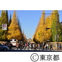 明治神宮外苑の紅葉