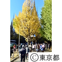 明治神宮外苑の紅葉