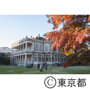 旧岩崎邸庭園の紅葉