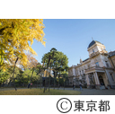 旧岩崎邸庭園の紅葉