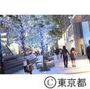 東京タワー・六本木イルミネーション