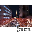 東京タワー・六本木イルミネーション