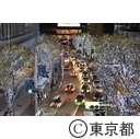 東京タワー・六本木イルミネーション