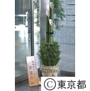 都庁入口門松設置