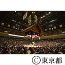 平成27年大相撲 一月場所（初場所）