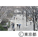 雪降る新宿