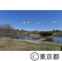 清瀬金山緑地公園