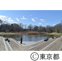 清瀬金山緑地公園