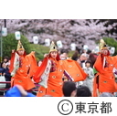 芝増上寺の桜