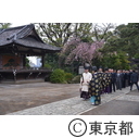 品川神社の太々神楽