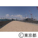 豊洲新市場の工事現場