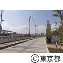 豊洲新市場の工事現場