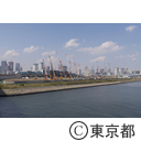 豊洲新市場の工事現場