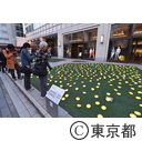 六本木アートナイト2015