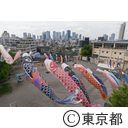 コイフェス2015