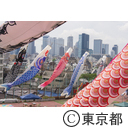 コイフェス2015