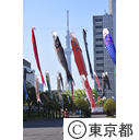 都営白髭防災団地の鯉のぼり