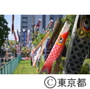 都営白髭防災団地の鯉のぼり