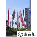 都営白髭防災団地の鯉のぼり