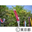 都営白髭防災団地の鯉のぼり