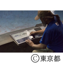葛西臨海水族園マグロ水槽にスマ導入