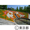 東京都慰霊堂の花壇
