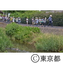 東久留米市南沢湧水