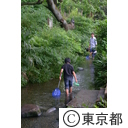 東久留米市南沢湧水