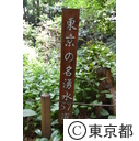 東久留米市南沢湧水