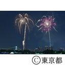 第27回東京湾大華花火大会