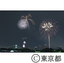第27回東京湾大華花火大会
