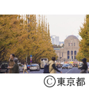 神宮外苑の紅葉