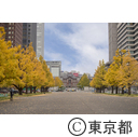 東京駅の紅葉