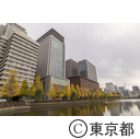 東京駅の紅葉