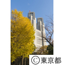 都庁と紅葉