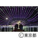 足立区光の祭典2015