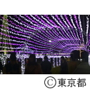 足立区光の祭典2015