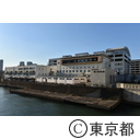 年末の築地市場