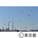 第8回堀切大凧揚げ大会