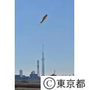 第8回堀切大凧揚げ大会
